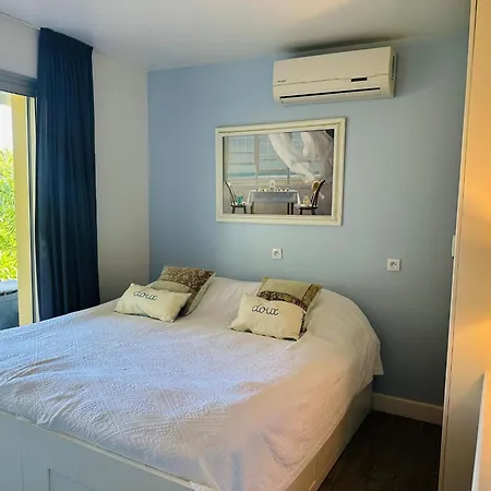 Myrtales Жюан-ле-Пен